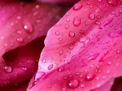 Pink Noise - Sleep / Focus Background Noise