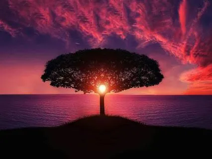 Pink Noise Sleep Sanctuary - 8 Hours Of Masking & Atmosphere