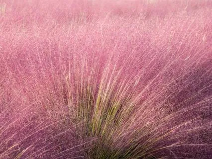 Pink Noise Stereo - Sleep / Focus Background Noise