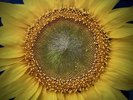 Pink Noise With 432Hz Tone