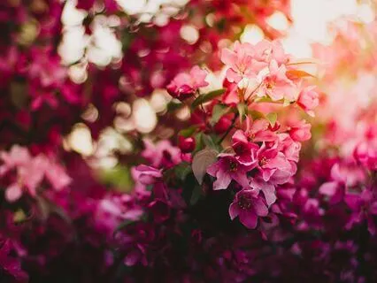 Pink Noise With Gentle Ambient Sounds - Sleep & Focus