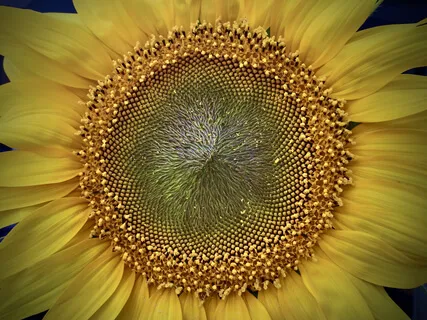 Pink Noise With Sacred Tones