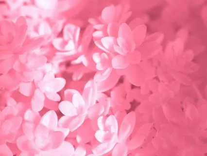 Pink Tourmaline Reiki Healing Session (With Pink Noise)