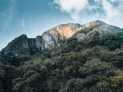 Pioneers Of Change - Holding Space