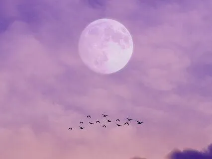 Pisces Full Moon Guided Meditation