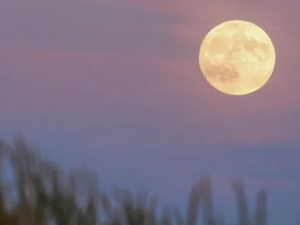 Pisces Full Corn Moon Practice - September 2025