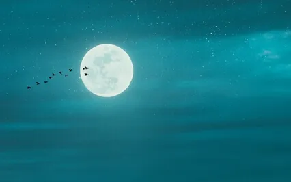 Pisces Full Moon Meditation - September 2022