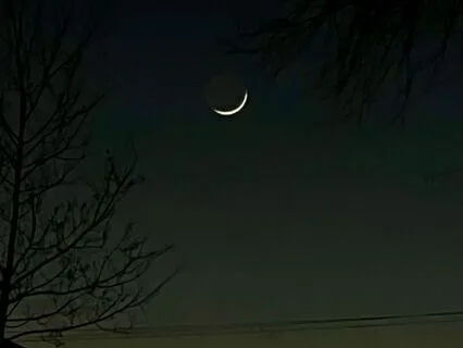 Pisces New Moon Yoga Nidra And Sound Bath