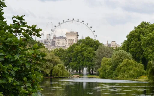 Planning And Celebrating