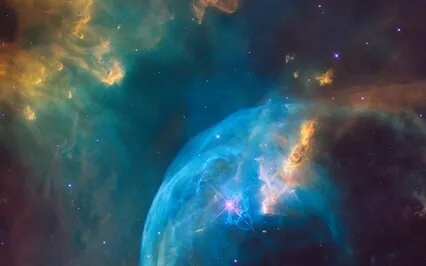 Plant Music: Galactic Healing With Peace Lily