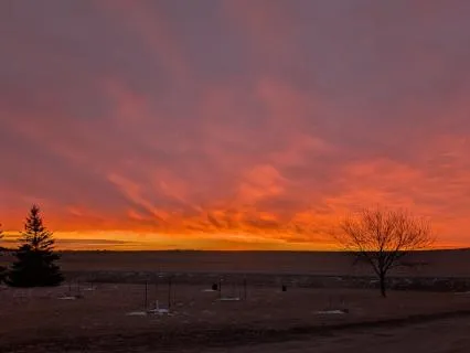 Plant Seeds Of Love (Instrumental)