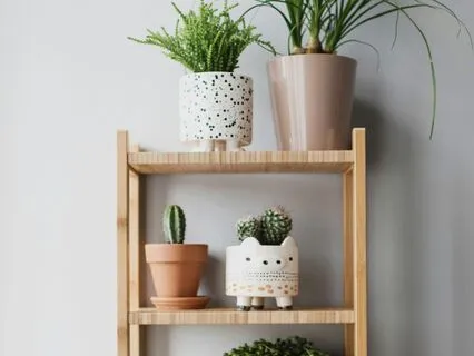 Plant Waves – Bioenergetic Sounds For Growth