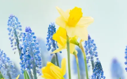 Plant Your Intentions & Watch Them Flourish 