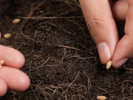 Planting New Beliefs - Subconscious Programming Part 1