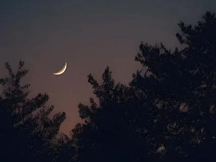 Planting Seeds Of Abundance: Taurus New Moon Meditation