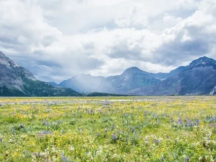 Planting Seeds Of Abundance