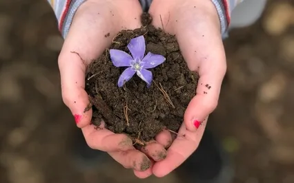 Planting Seeds Of Intention Meditation