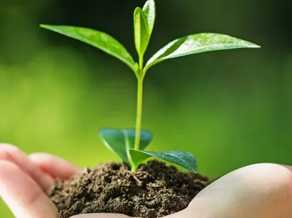 Planting Seeds Of Intention