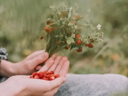 Planting Seeds Of Possibility