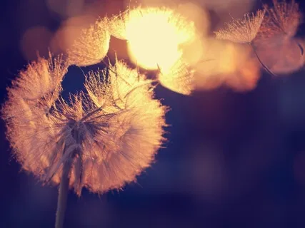 Planting Seeds Of Prosperity