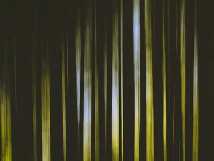 Planting The Seed Of Intention