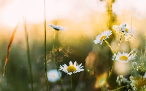 Planting The Seed Of Spring 