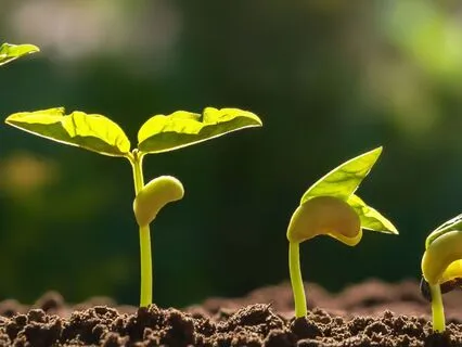 Planting The Seeds For Positive Self-Talk