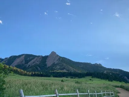 Planting Your Field Of Dreams: A Journey With Lisa Jo