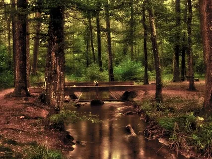 Platonic Year (172.06Hz)