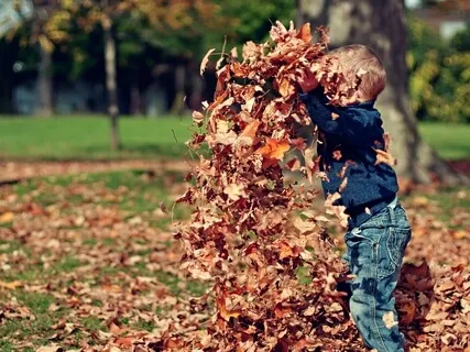 Play & The Nature Of Fun