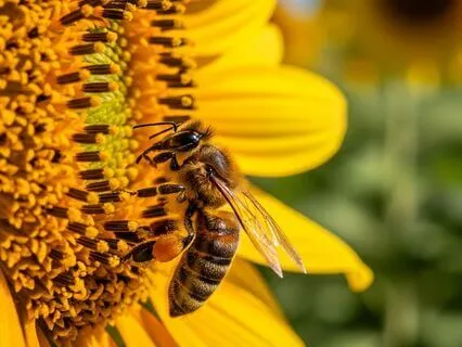 Play The Role You Came To Play