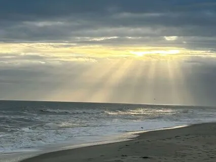 Yoga Nidra: On The Ocean