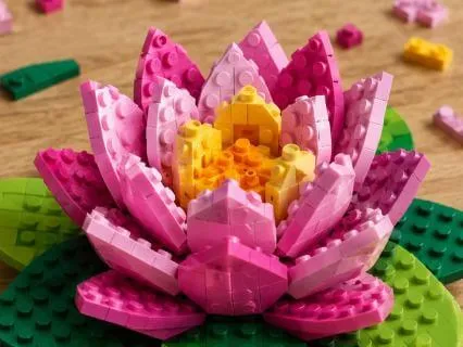Playfulness In Our Practice