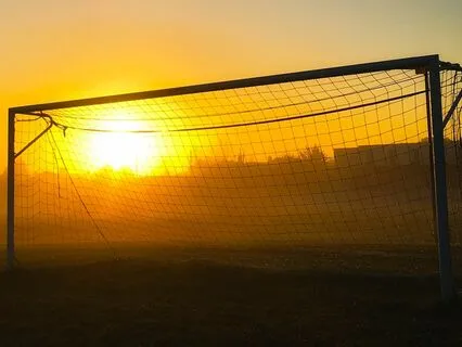Playing Sports With Mrs. Honeybee