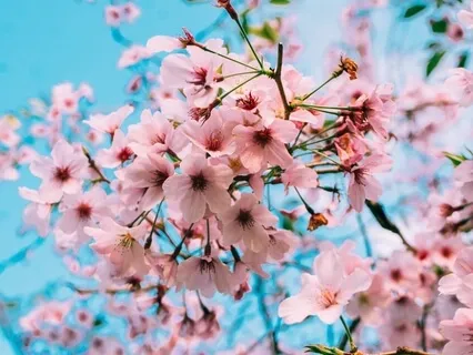 Pleasant Experiences