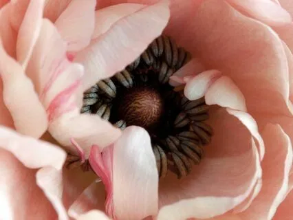 Moving Pleasure Activation To Reduce Stress And Overwhelm