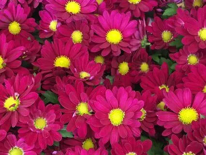 Pleasure Affirmations