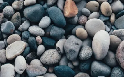 Pleasure Perpetuates The Thoughts That Also Bring Suffering