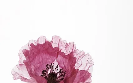 Pleasure / Day 4: My Beautiful Body Energy Clearing