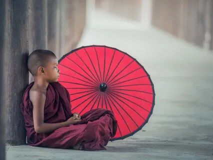 Wisdom Pills: Pleasure