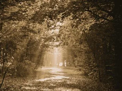 Pleiadian Grounding: Daily Energy Hygiene