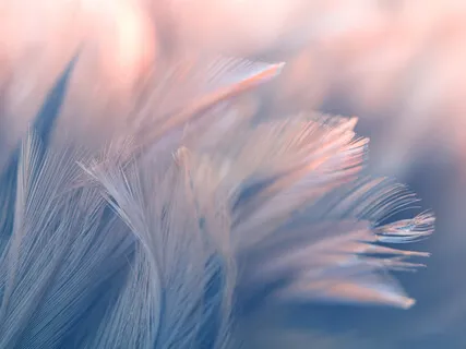 Pleiadian Meditation 2