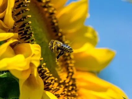 Plenty - EFT Tapping To Feel Plentiful