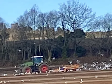 Ploughed Fields: A Mediation To Allow Death And Life