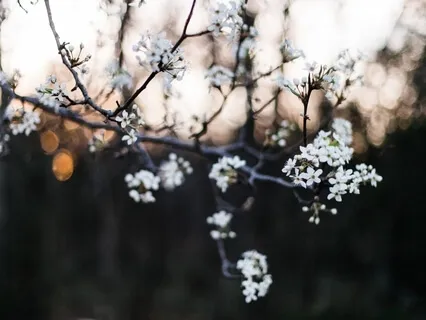 Pluto Retrograde: Re-embody Your Birthright