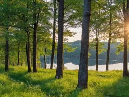 Pluto's Cosmic Resonance