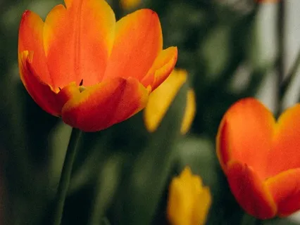 Pockets Of Love- March 09