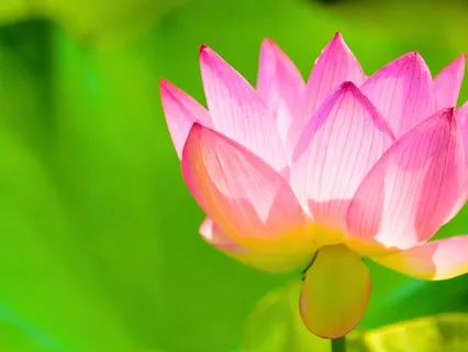 Podcast Ep.10 - Vital Harmony (Pt.1) - Vata