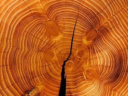 Podcast Ep.5 - Six Healing Sounds (Pt.3) - Wood