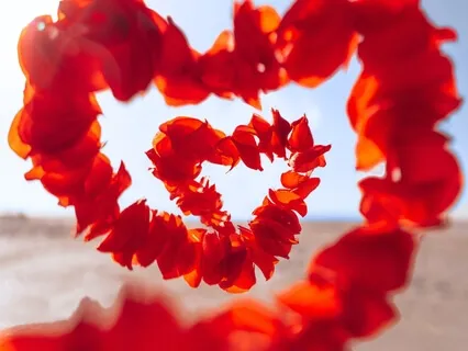 Podcast Episode 1:  What Is Your Inner Divine Lover? 